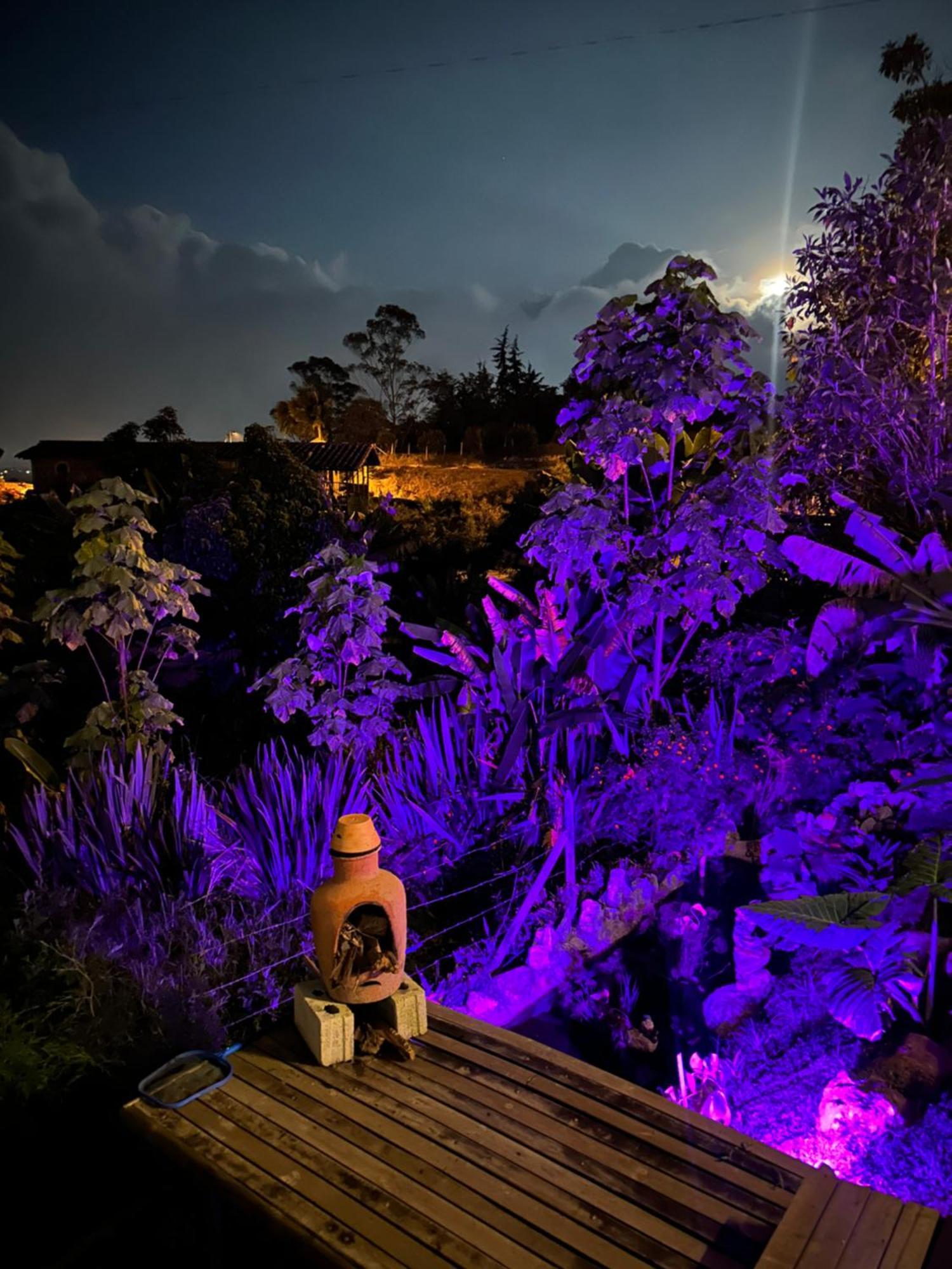 Cabanas Con Jacuzzi Y Chimenea - Casa Floral, Marinilla Eksteriør billede